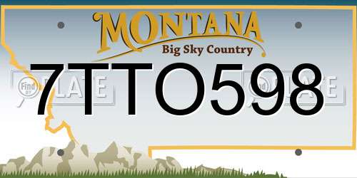 7TTO598 Montana License Plate