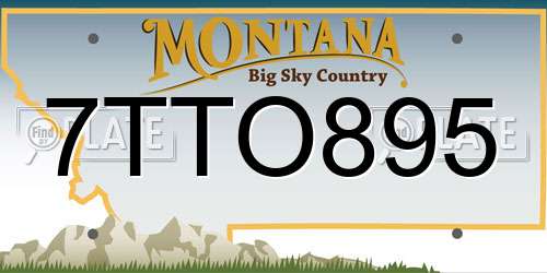 7TTO895 Montana License Plate