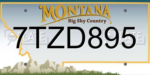 7TZD895 Montana License Plate