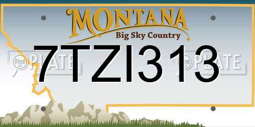 7TZI313 Montana License Plate