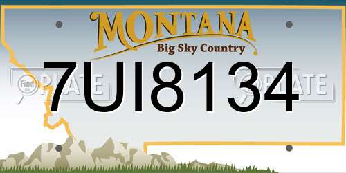 7UI8134 Montana License Plate