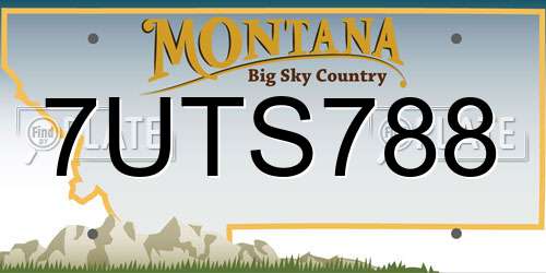 7UTS788 Montana License Plate