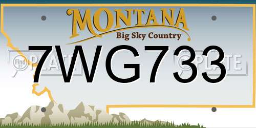 7WG733 Montana License Plate