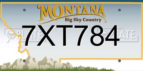 7XT784 Montana License Plate
