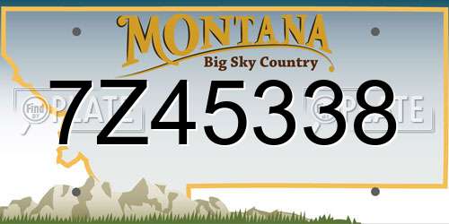 7Z45338 Montana License Plate