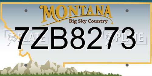 7ZB8273 Montana License Plate