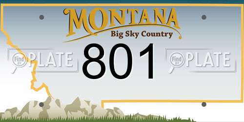 801 Montana License Plate