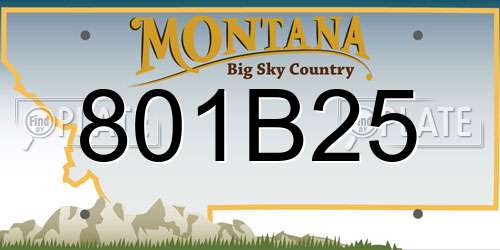 801B25 Montana License Plate
