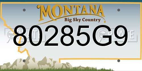 80285G9 Montana License Plate