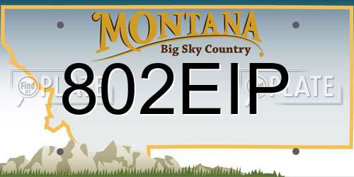 802EIP Montana License Plate