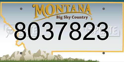 8037823 Montana License Plate