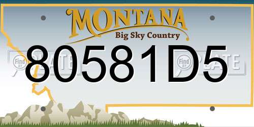 80581D5 Montana License Plate
