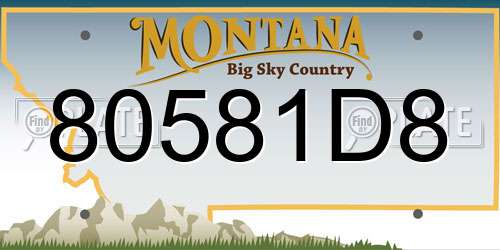 80581D8 Montana License Plate