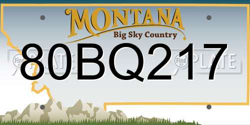 80BQ217 Montana License Plate