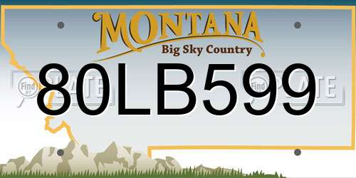 80LB599 Montana License Plate