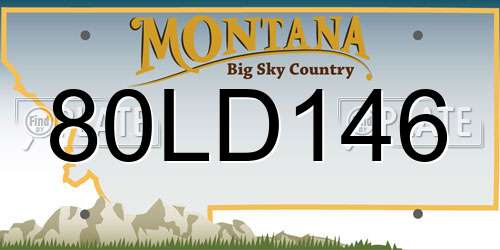 80LD146 Montana License Plate