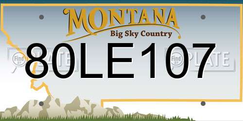 80LE107 Montana License Plate