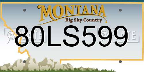 80LS599 Montana License Plate