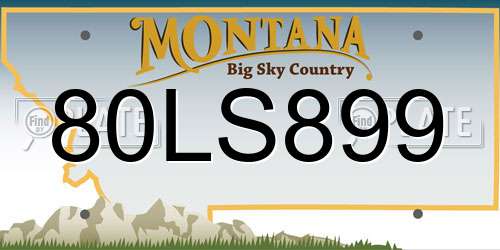 80LS899 Montana License Plate