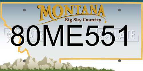 80ME551 Montana License Plate