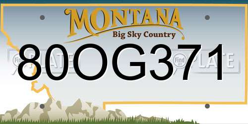 80OG371 Montana License Plate