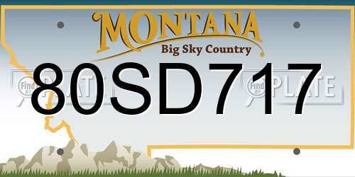 80SD717 Montana License Plate