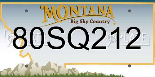 80SQ212 Montana License Plate