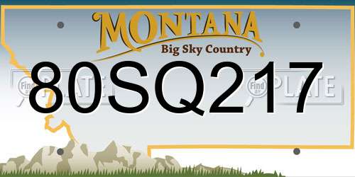 80SQ217 Montana License Plate