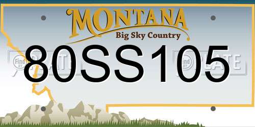 80SS105 Montana License Plate