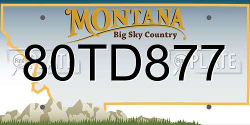 80TD877 Montana License Plate