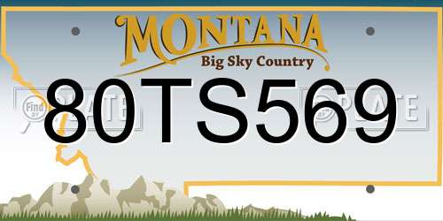 80TS569 Montana License Plate