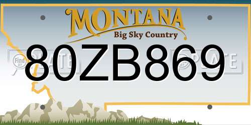 80ZB869 Montana License Plate