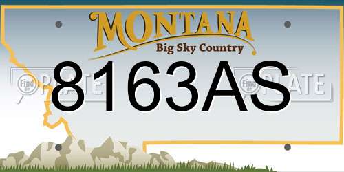8163AS Montana License Plate