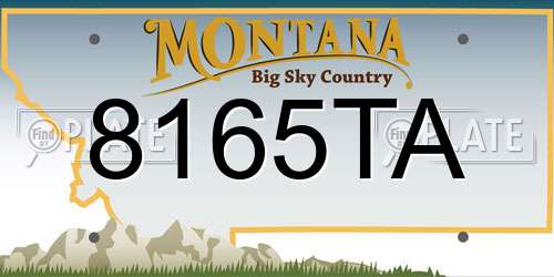 8165TA Montana License Plate