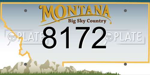 8172 Montana License Plate