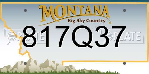 817Q37 Montana License Plate