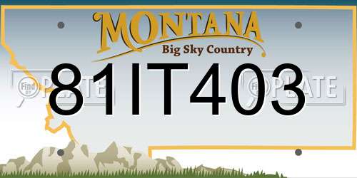 81IT403 Montana License Plate