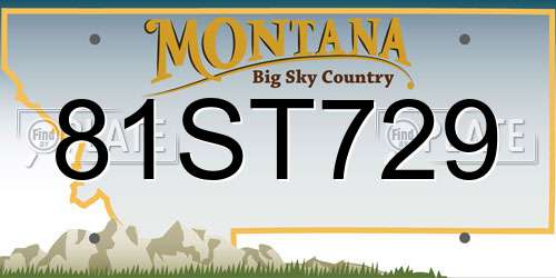 81ST729 Montana License Plate