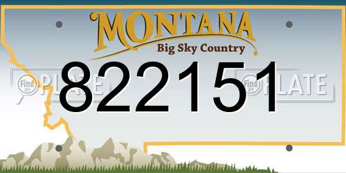 822151 Montana License Plate