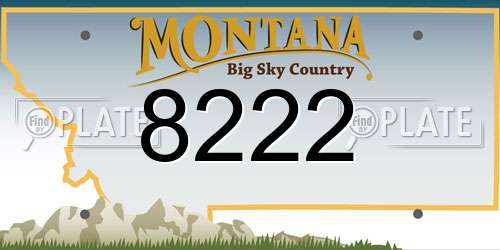8222 Montana License Plate