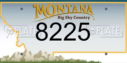 8225 Montana License Plate