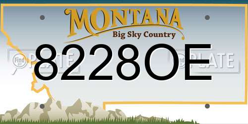 8228OE Montana License Plate
