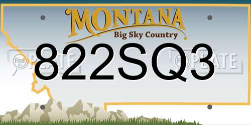 822SQ3 Montana License Plate