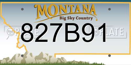 827B91 Montana License Plate