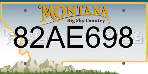 82AE698 Montana License Plate