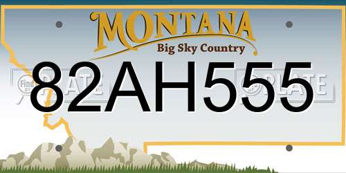 82AH555 Montana License Plate