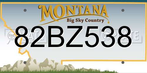 82BZ538 Montana License Plate