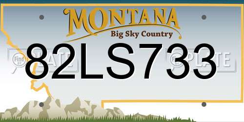 82LS733 Montana License Plate