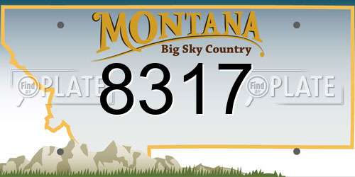 8317 Montana License Plate