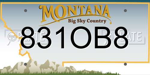 831OB8 Montana License Plate